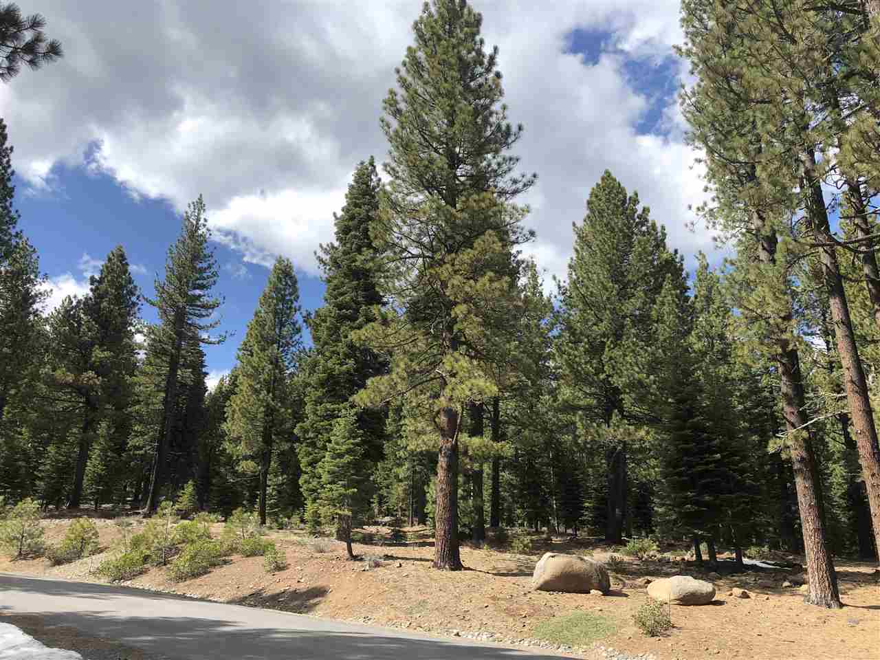 Pine Forest Lots - Area Info | Dickson Realty